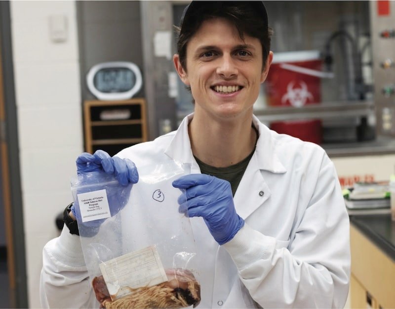 Salmon Diet Science: How Chinook & Coho Diets are Different