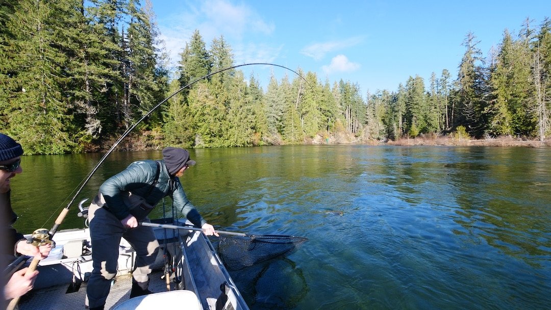 Reading the River for Steelhead