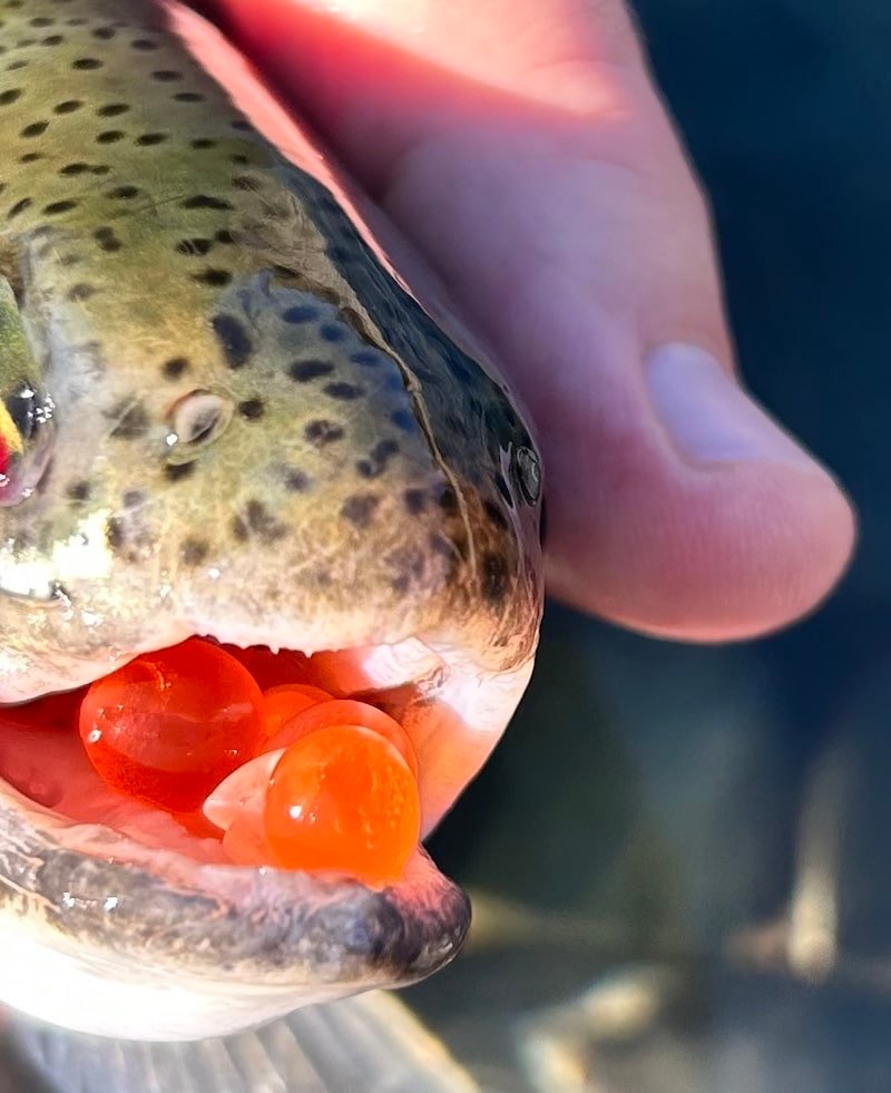 Float Fishing Soft Beads on the River