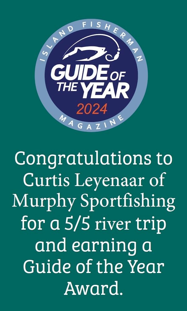 Reading the River for Steelhead