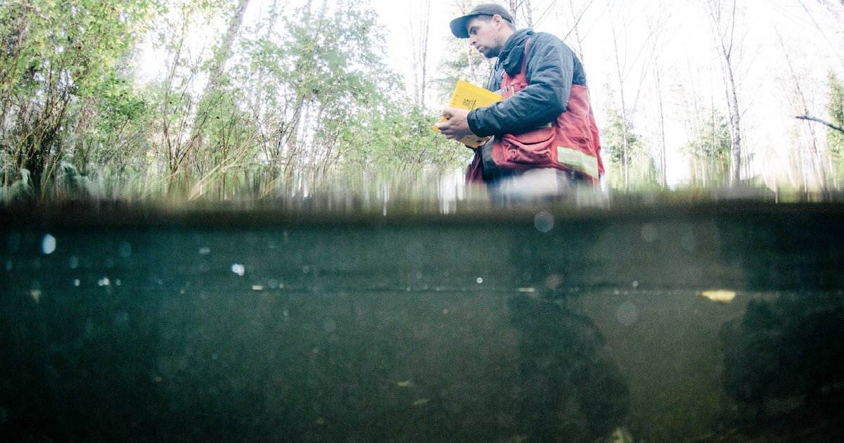 Photo Redd Fish Restoration Society