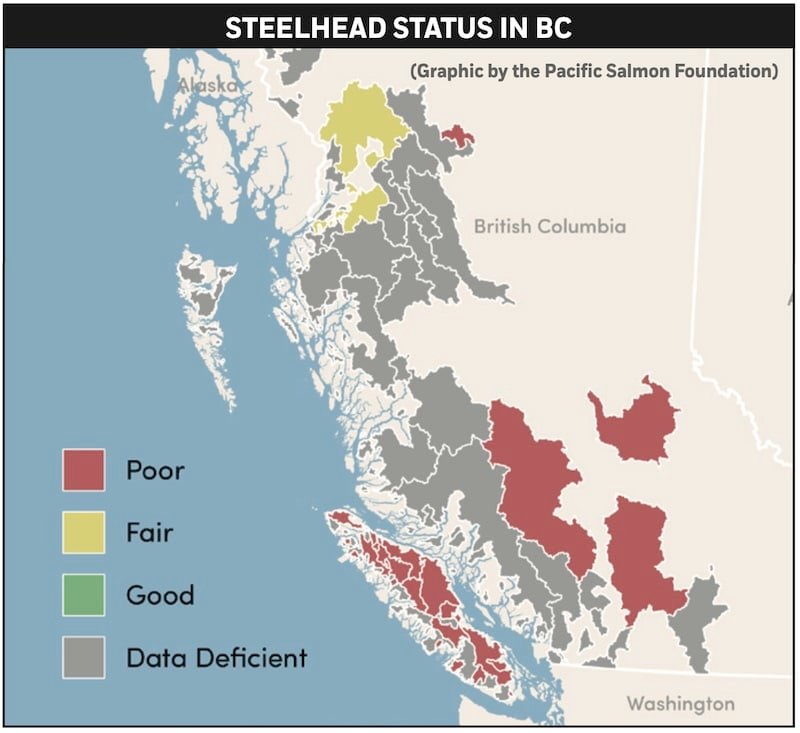 Steelhead status in BC