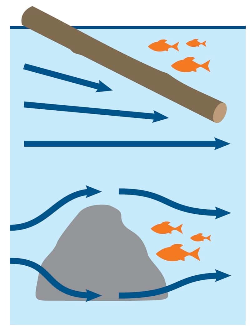 Reading the River for Steelhead