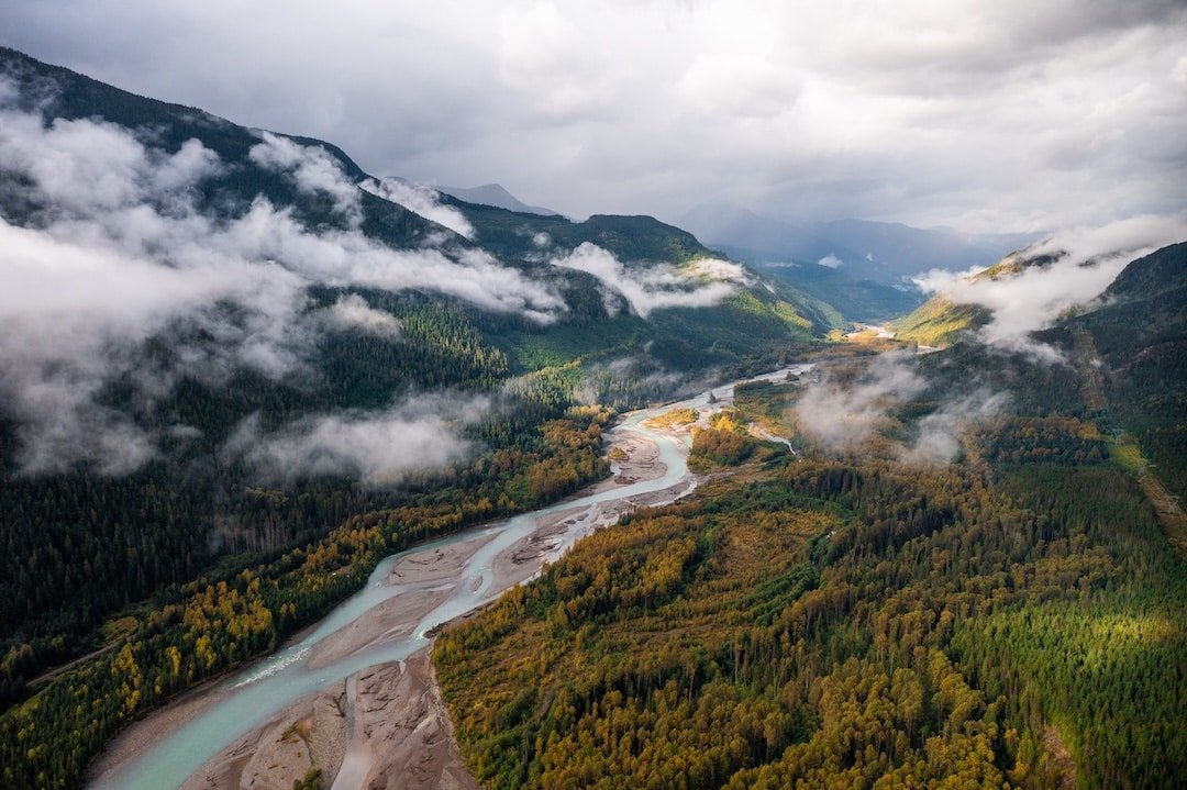 The State of Steelhead in BC