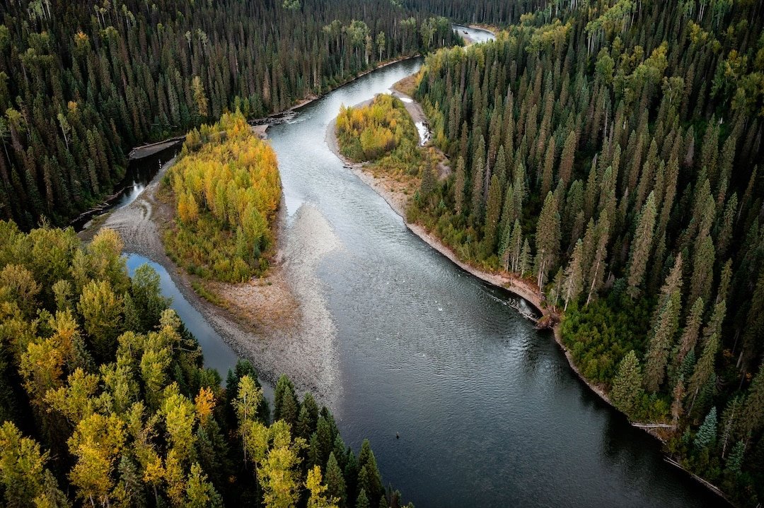 The State of Steelhead in BC