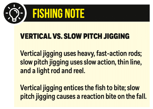 What is Slow-Pitch Jigging?