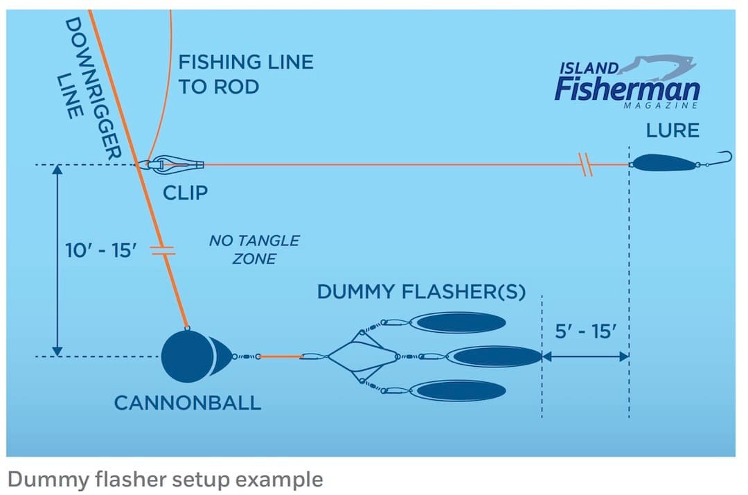 Dummy Flasher Diagram
