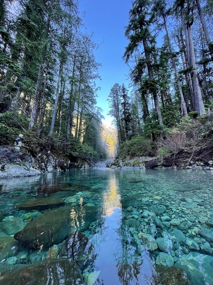 How Do Salmon Get Counted?