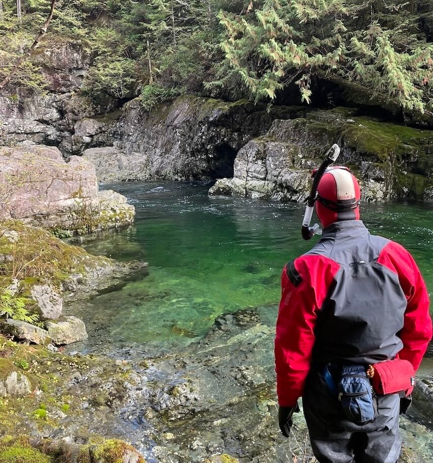 How Do Salmon Get Counted?