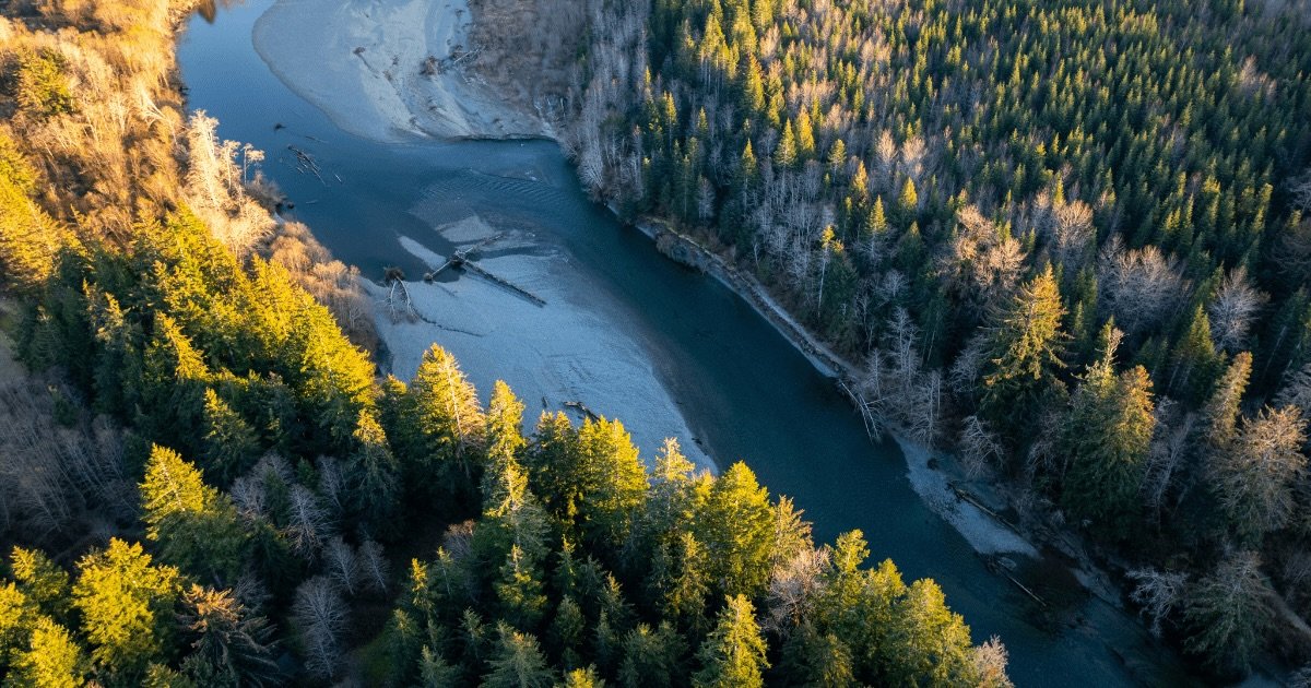 Aerial view of a river winding through a forested area, showcasing trees and sandy banks along the water's edge.