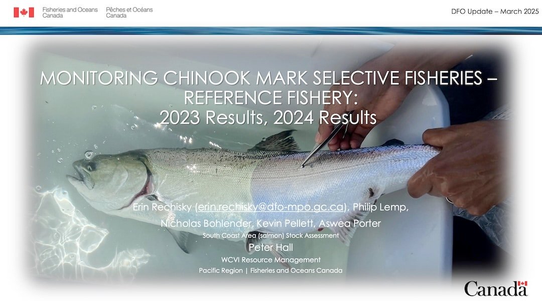DFO Research Validates Anglers’ Position on Chinook Non-Retention