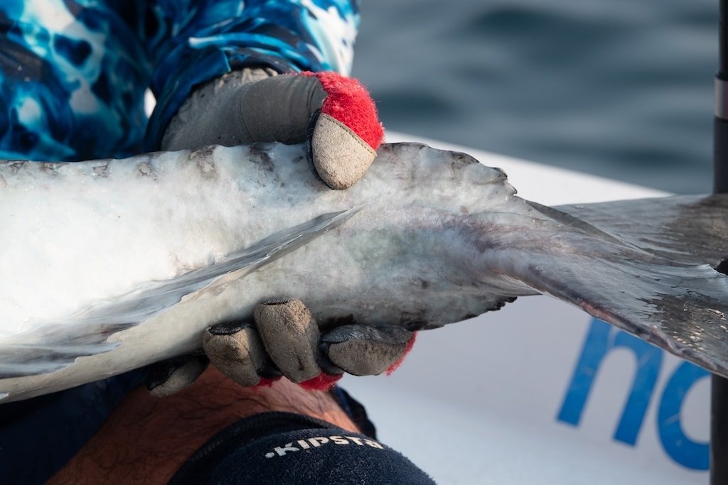 How to Catch Trophy Giant Trevally (GT)