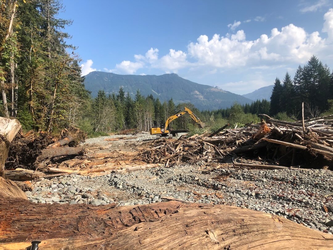 Another Great Cowichan River Chinook Return!