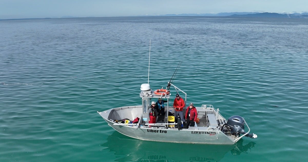 A small fishing boat named Liber Ero with a crew on board, equipped with fishing gear, in calm waters under a clear sky.