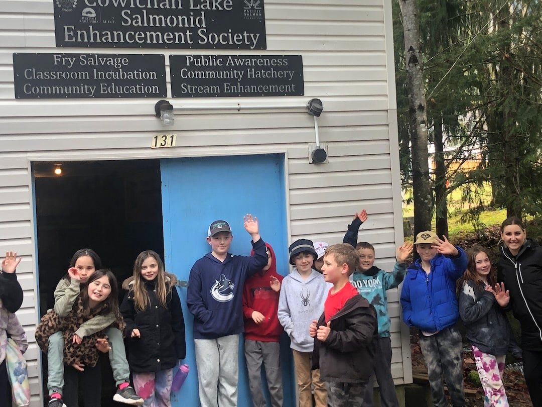 Another Great Cowichan River Chinook Return!