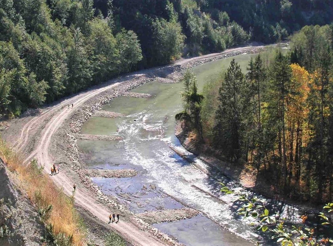 Another Great Cowichan River Chinook Return!