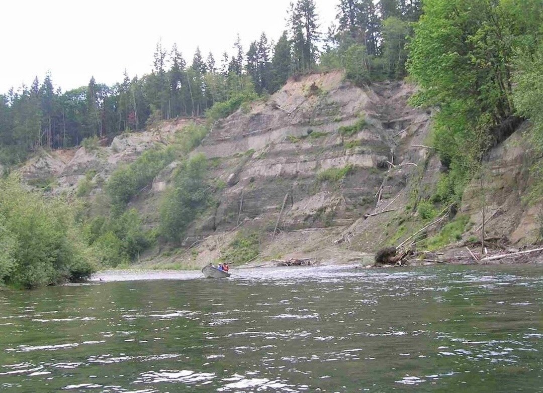 Another Great Cowichan River Chinook Return!