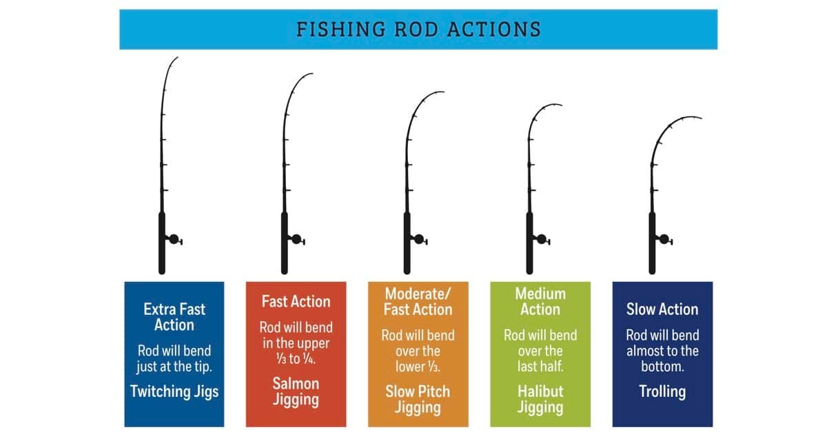 Illustration of various fishing rod actions, including Extra Fast, Fast, Moderate, Medium, and Slow Action, with descriptions for each type.