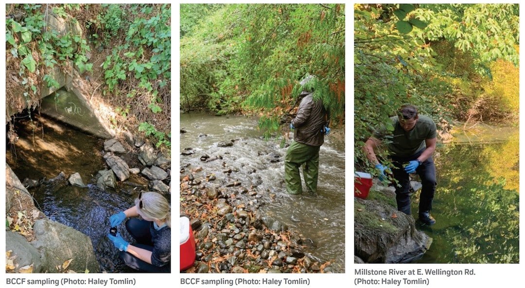 6PPD-Q: The Other Coho Killer