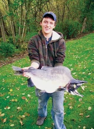 Creature Feature: Pink Salmon