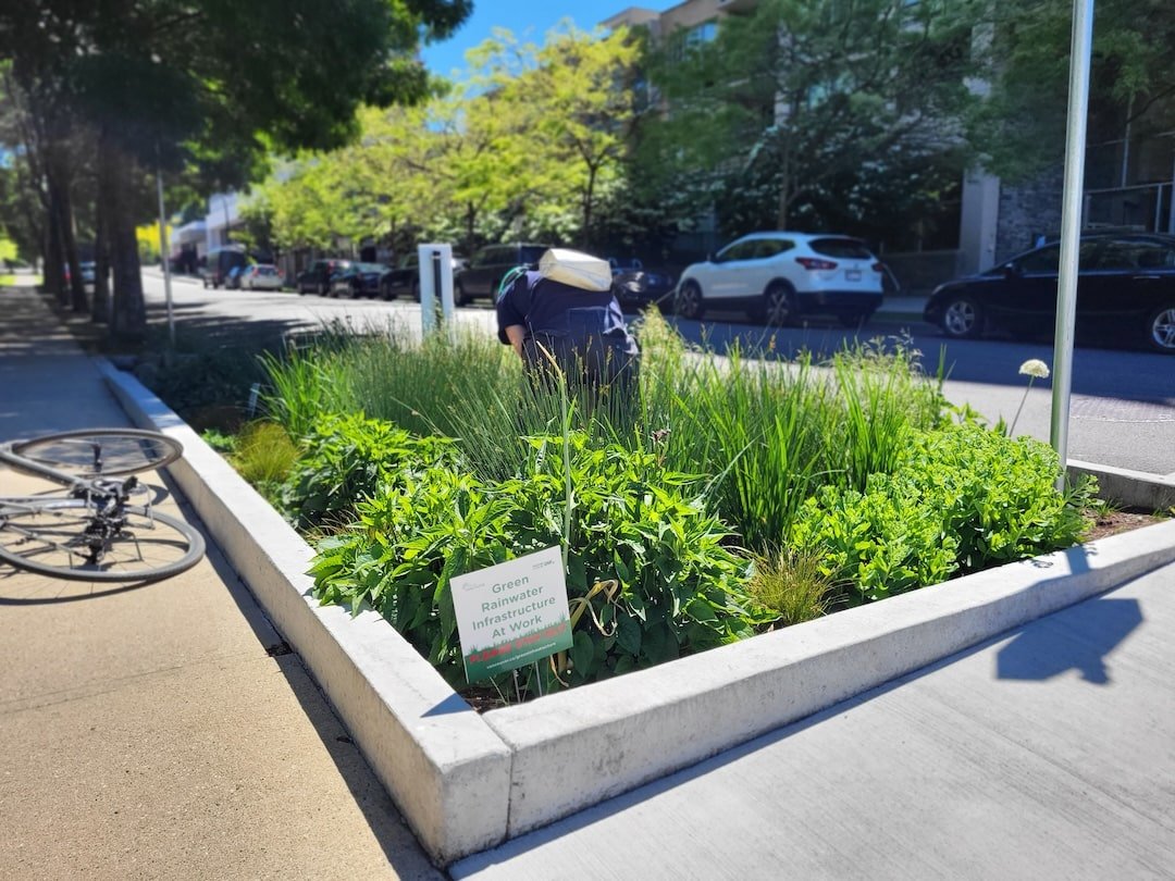 6PPD-Q: The Other Coho Killer