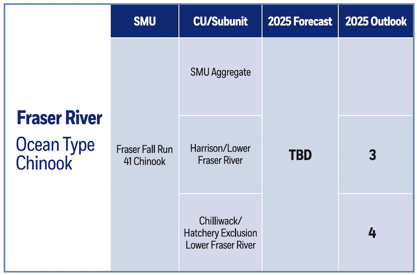 2025 BC Salmon Forecast: South Coast