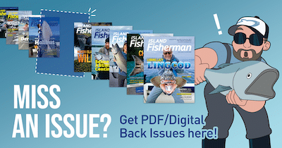 How To Pick A Fly Fishing Rod For Power