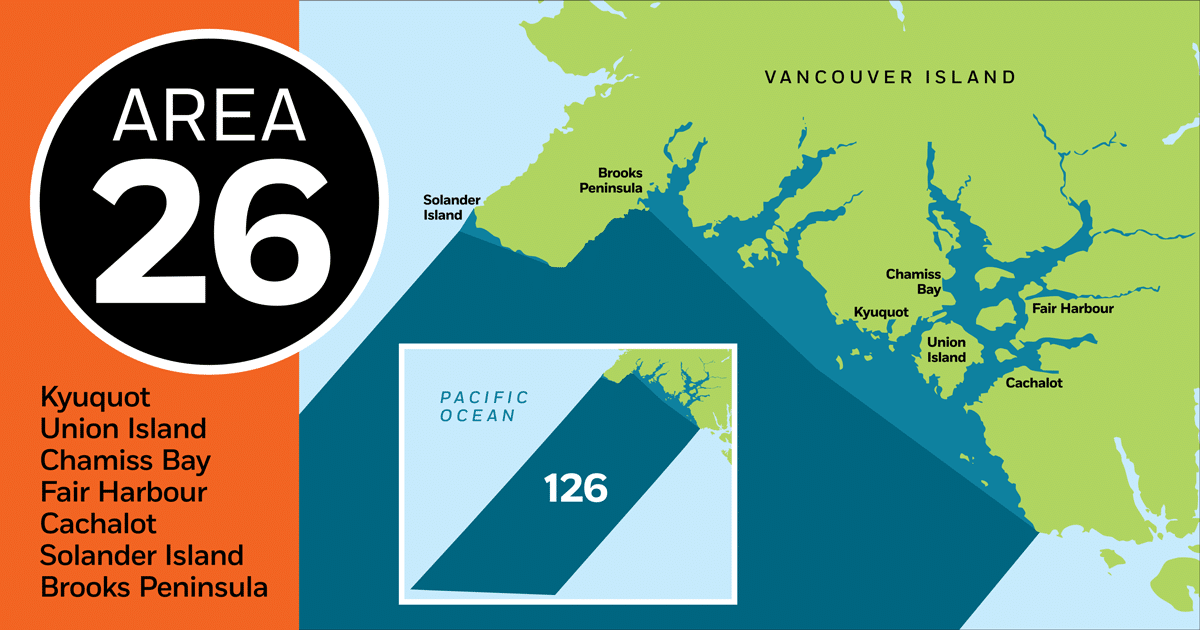 Kyuquot Fishing Report Map of Area 26, highlighting Kyuquot, Union Island, Chamis Bay, Fair Harbour, Cachalot, Solander Island, and Brooks Peninsula.