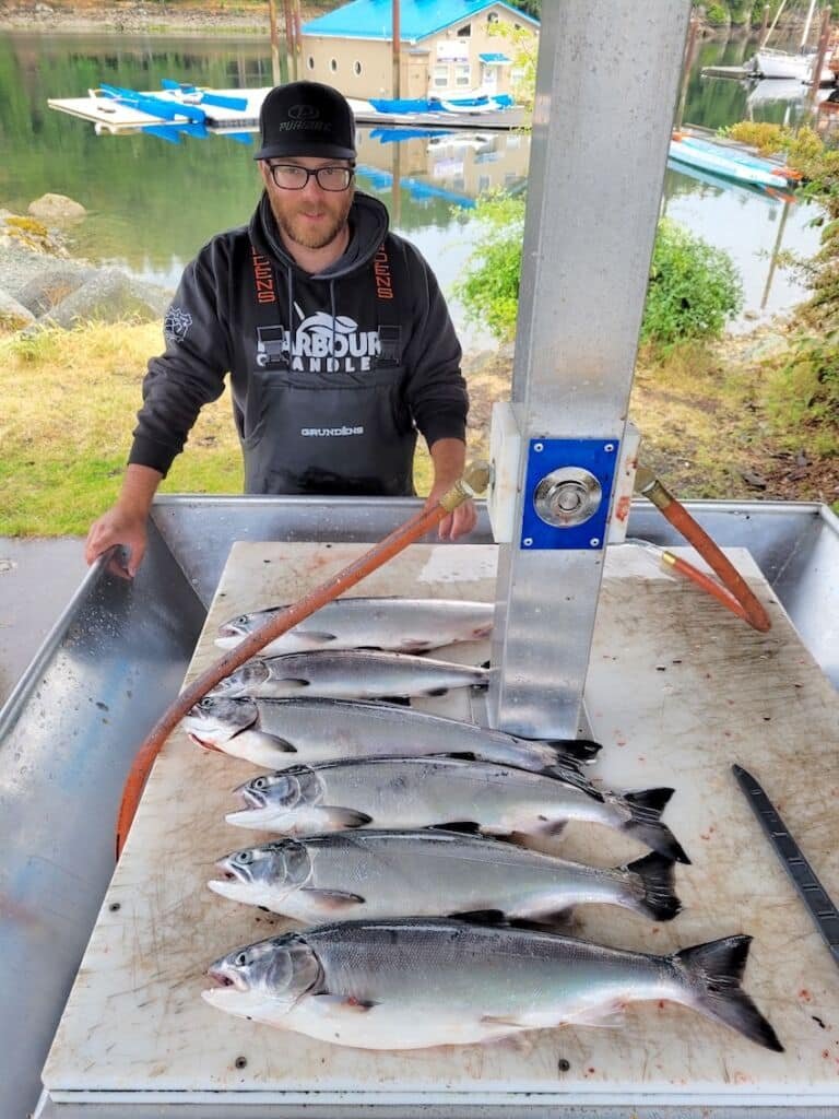 Why So Many Coho?