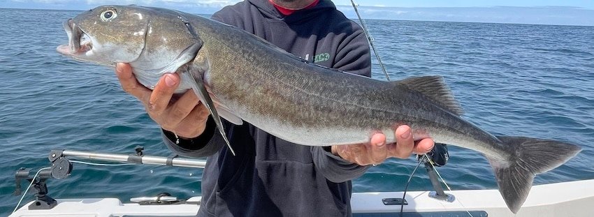 Surveying Electric Reel Use in BC's Deepwater Fisheries