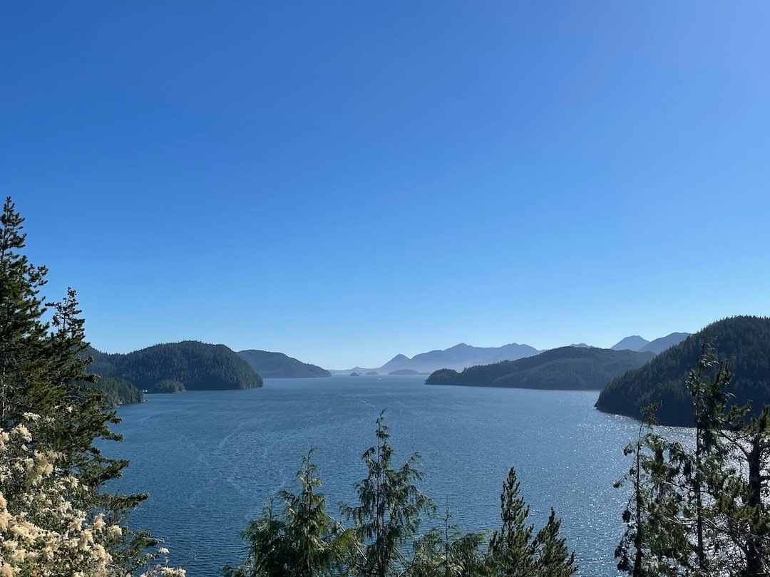The Nootka Sound Watershed Society: It's All About The Fish