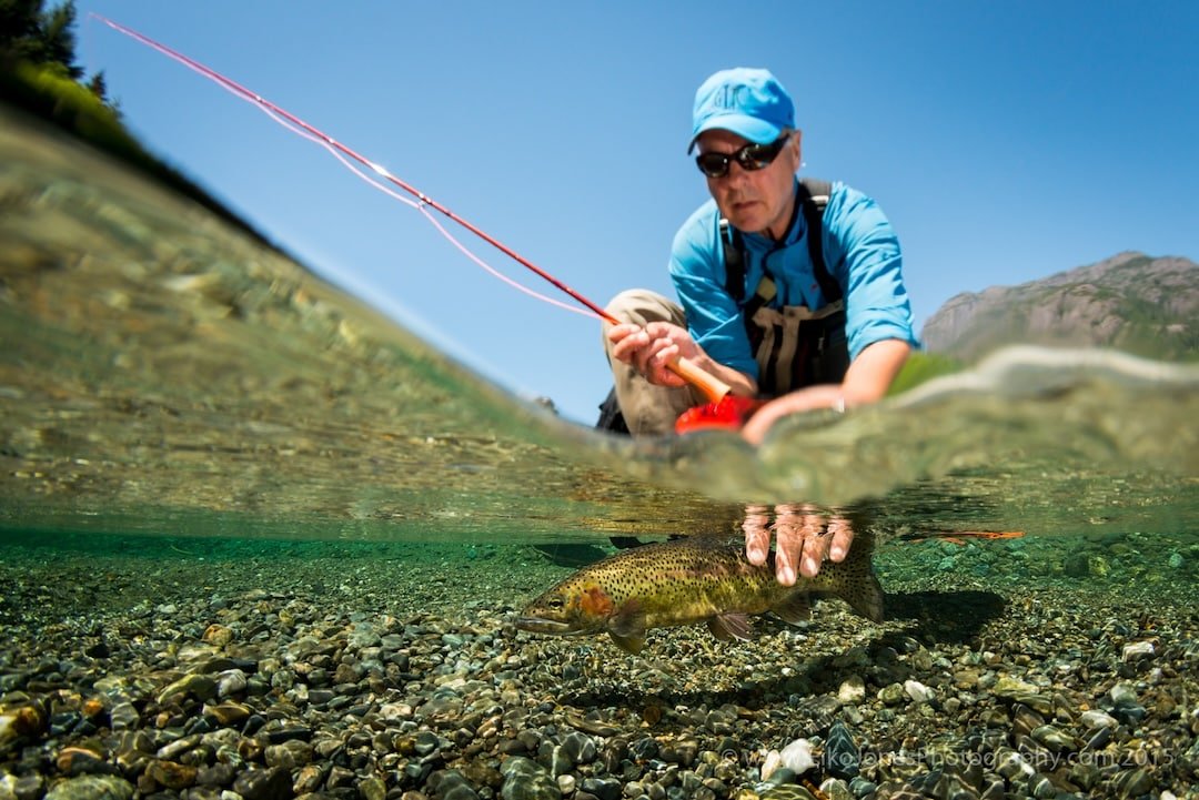 The Nootka Sound Watershed Society: It's All About The Fish