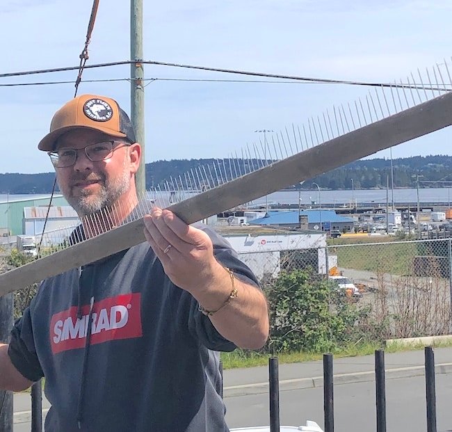 The Art of Cut Plugging