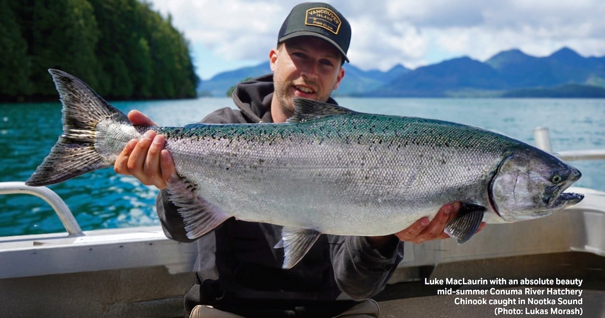 A person holding a large Chinook salmon caught in Nootka Sound, showcasing its shiny scales and distinctive coloration.