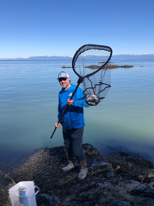 The Art of Cut Plugging