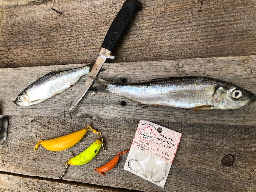 The Art of Cut Plugging