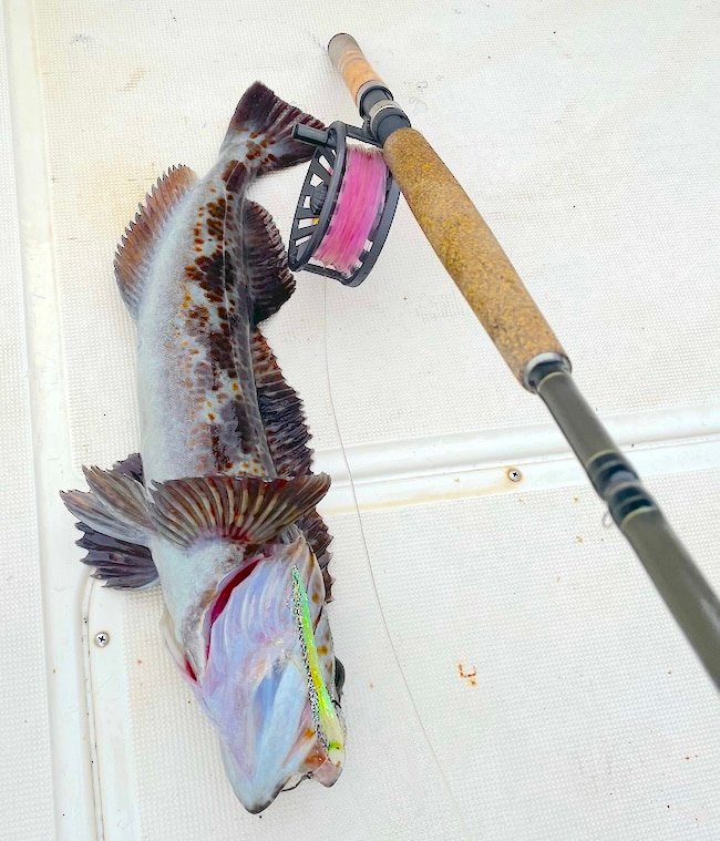 BC Saltwater Fly Fishing: Targets and Techniques