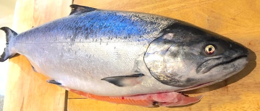 The Art of Cut Plugging