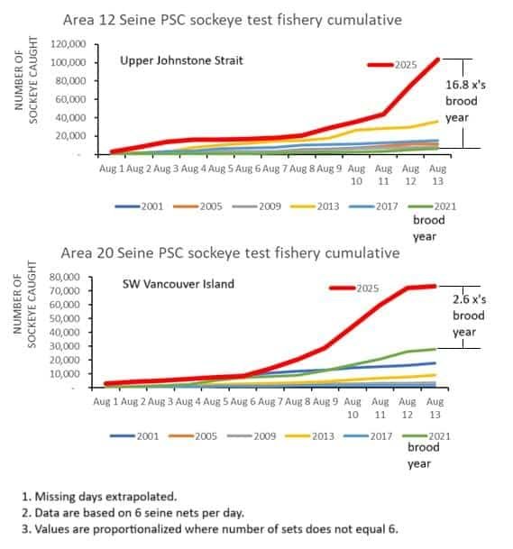 Historic Fraser River Sockeye Run of 2025 Far Exceeds Forecasts 