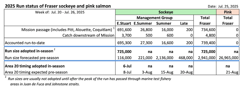 Historic Fraser River Sockeye Run of 2025 Far Exceeds Forecasts 
