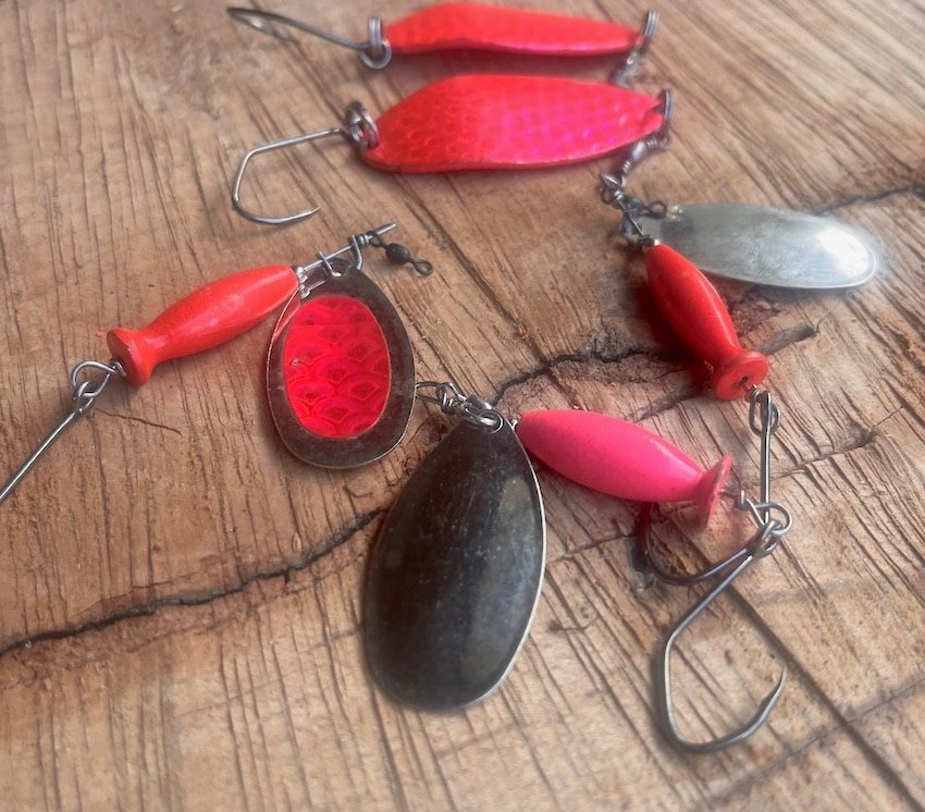 Guide to Catching Pink Salmon on the BC Mainland