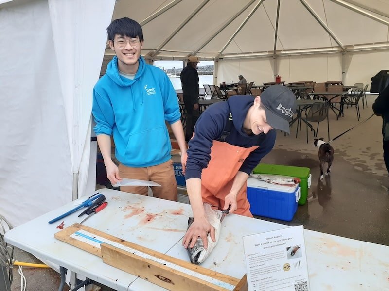 Salmon Diet Science: How Chinook & Coho Diets are Different