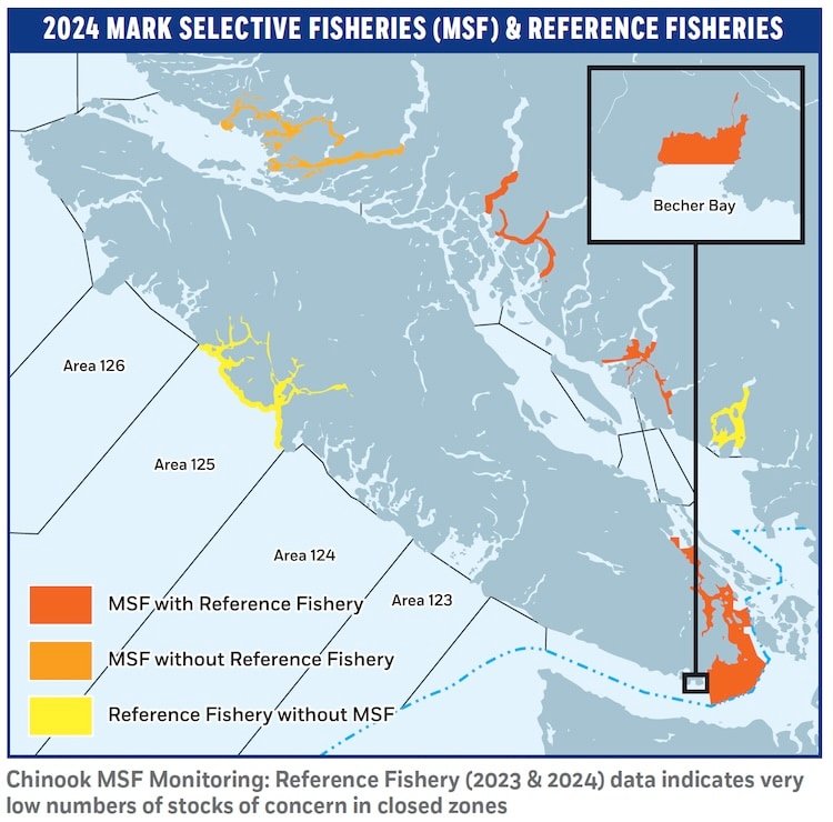 Chinook MSF—What Does The Reference Data Say?
