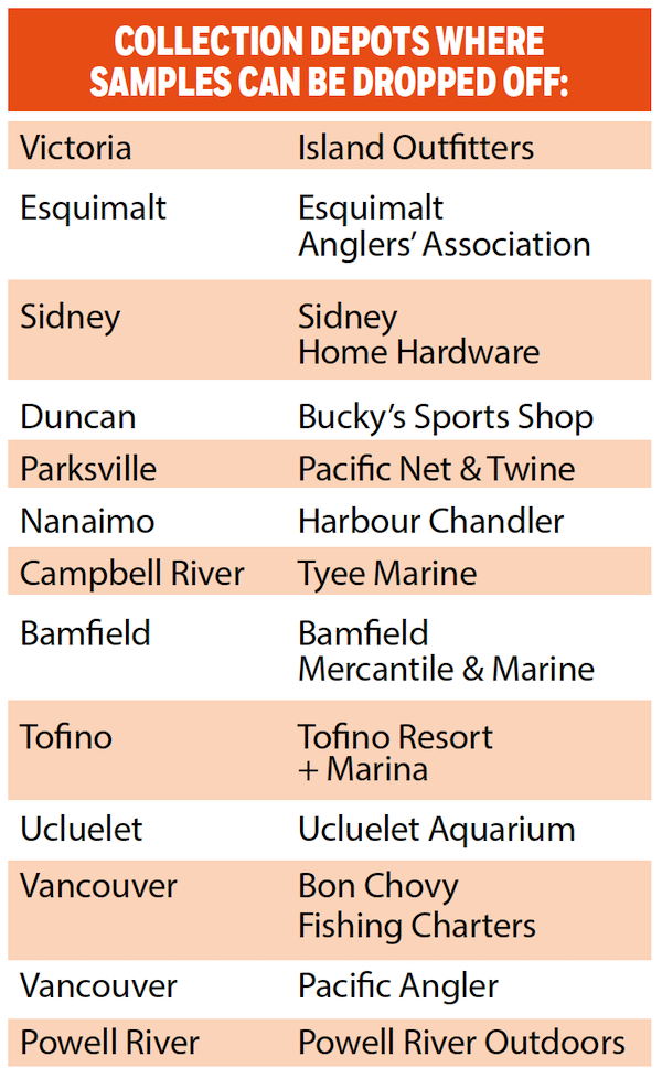 Salmon Diet Science: How Chinook & Coho Diets are Different