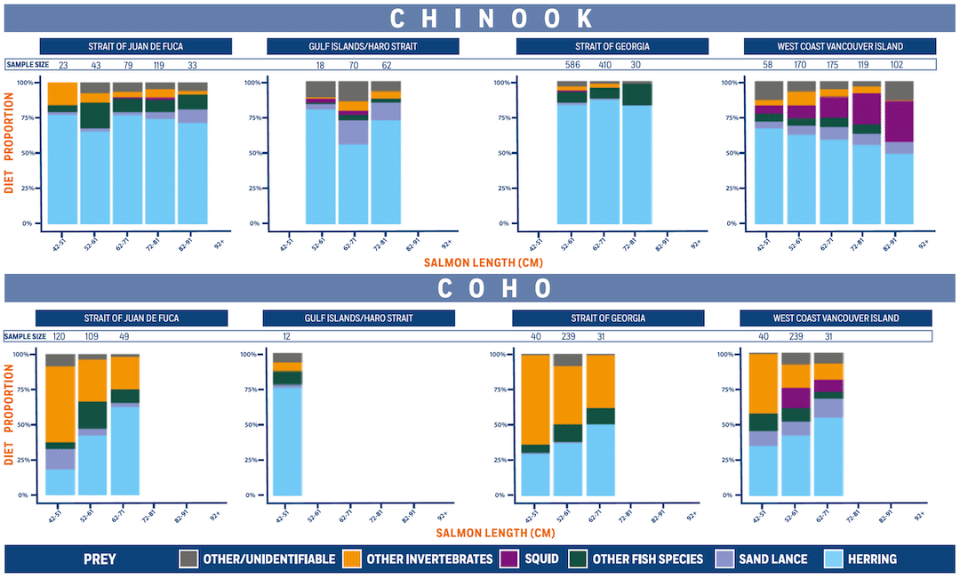 Salmon Diet Science: How Chinook & Coho Diets are Different