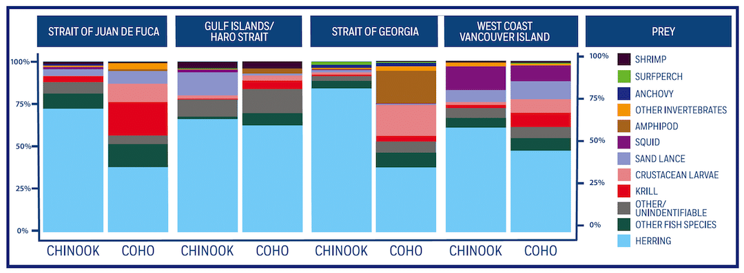 Salmon Diet Science: How Chinook & Coho Diets are Different