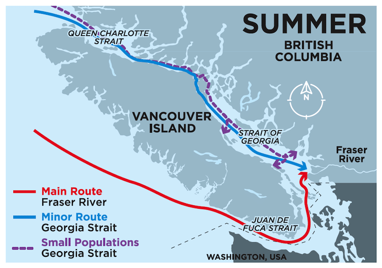 Chinook MSF—What Does The Reference Data Say?