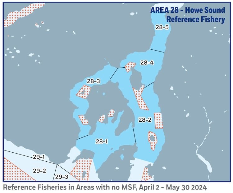 Chinook MSF—What Does The Reference Data Say?