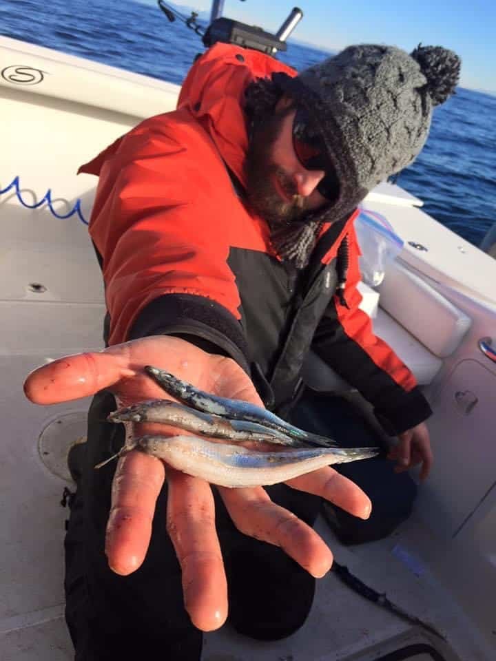 Salmon Diet Science: How Chinook & Coho Diets are Different