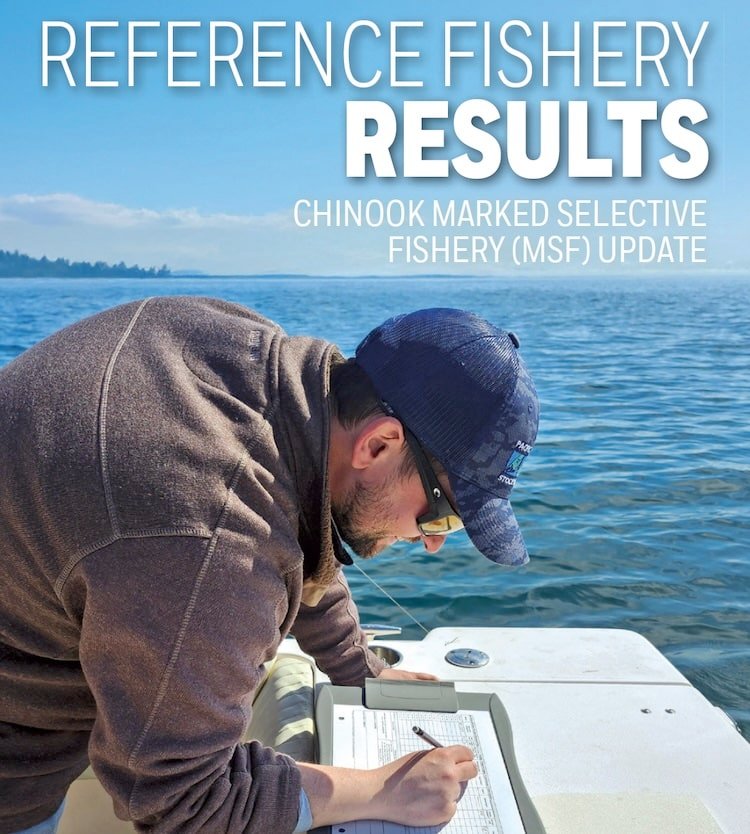 Chinook MSF—What Does The Reference Data Say?